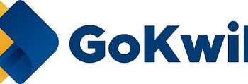 D2C Brands See 64% Surge in Festive Orders, Outperforming Marketplaces: GoKwik finding