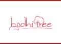 Bodhitree Multimedia Announces Results for Q3 FY 2024
