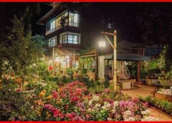 Celebrate Women’s Day with a Tranquil Getaway at Nestay