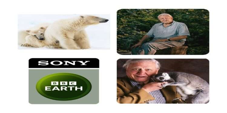 A Day with a Legend: Sony BBC Earth Celebrates Sir David Attenborough.