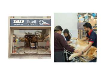 Zigly Strengthens Presence with Two New Experience Centres in Ahmedabad
