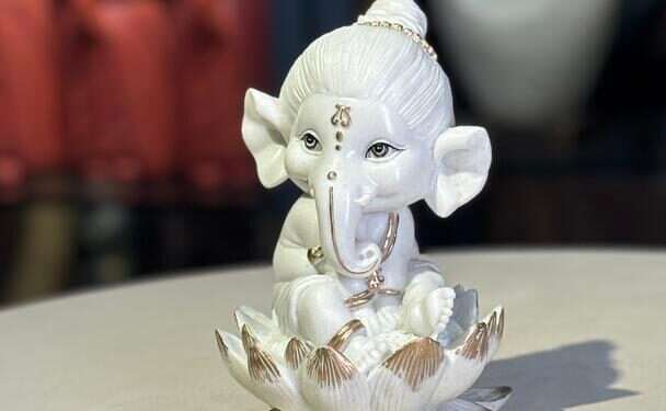 Serial Entrepreneur Sumit Govind Sharma Launches Premium Lifestyle Brand Aurafest Under Flagship Label Pranom