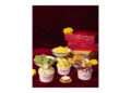 Anand Sweets and Milano Ice-Cream Collaborate for Limited-Edition Festive Gelato Collection