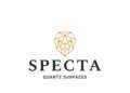 Specta Quartz Surfaces Showcases Padma Shri Sand Artist Sudarsan Pattnaik in Latest ‘Stories Cast in Stone’ Campaign